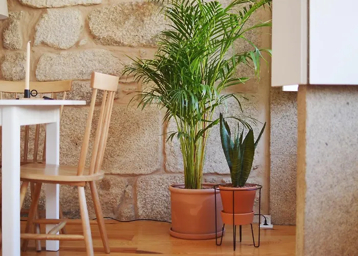 Elisa Appartement Porto