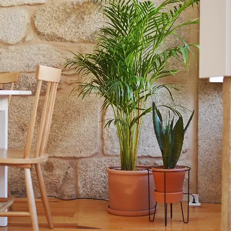 Elisa Appartement Oporto